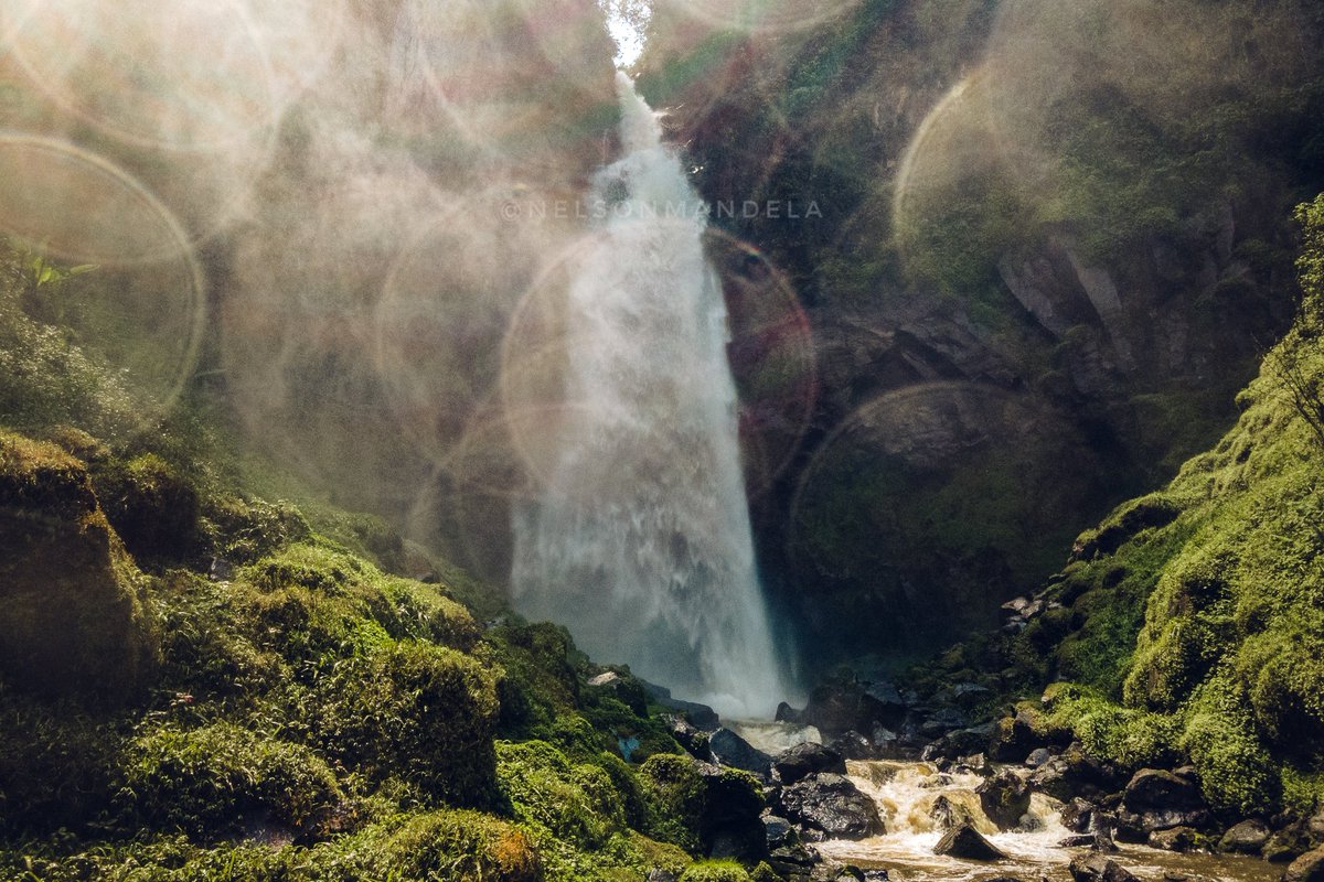 nelsonman11's tweet photo. La Chute de Tshibati dans le Parc National de Kahuzi Biega, Sud Kivu

#bukavuexplorer #bukavu #congo #drc #teampixel #googlepixel #travelafrique #travelafrica #perspective #cityview https://t.co/mKnknUQARy