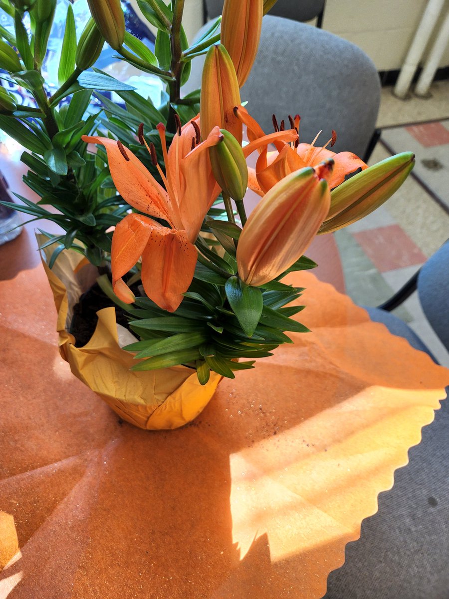 Dr. Melissa Nankin tweet media