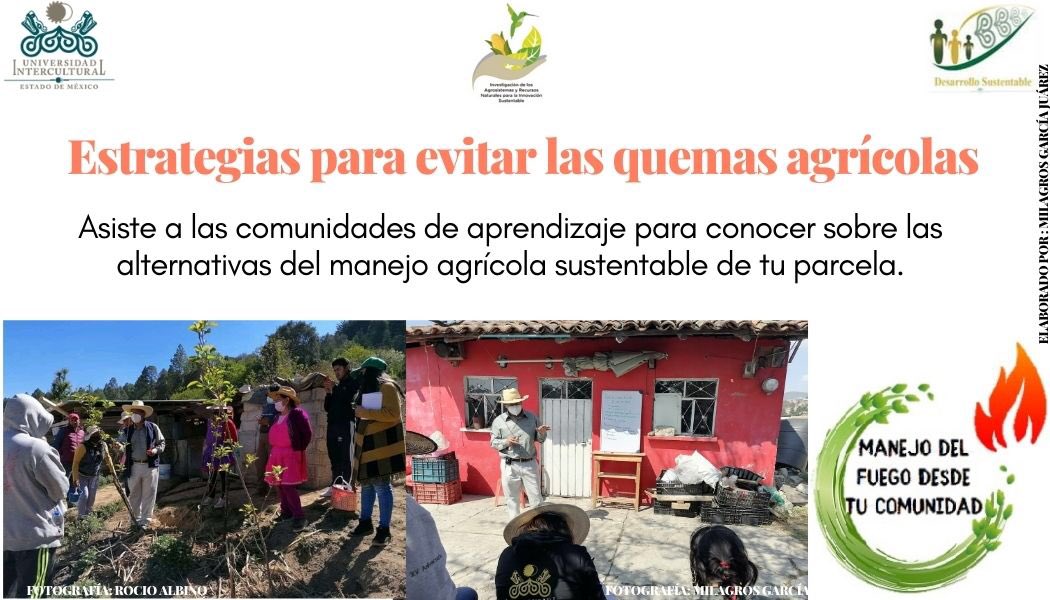 UIEMOficial's tweet photo. La licenciatura en #DesarrolloSustentable, durante esta temporada de incendios te invita a consultar el programa de difusión "Manejo de fuego desde tu comunidad", a cargo de la estudiante de octavo semestre Milagros García Juárez " #NOQUEMA https://t.co/xxLpgtZ9mO