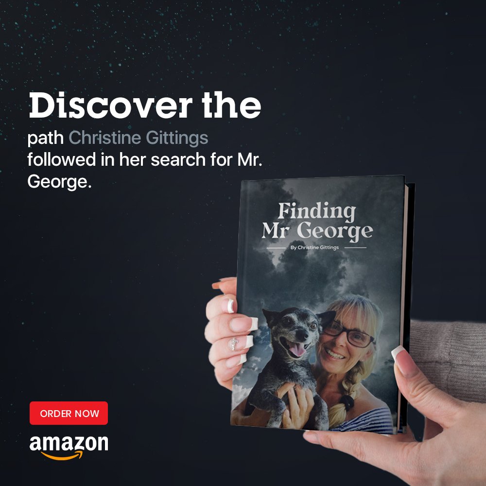 Finding Mr George tweet media