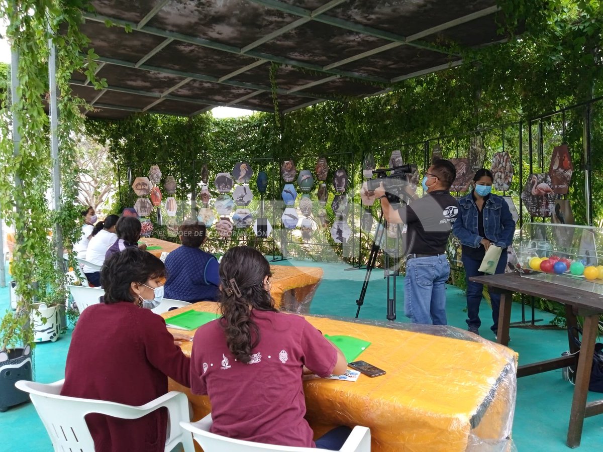 #YUC <a href="/hunab_mexico/">HUNAB ProyectoDeVida</a> proyecto de vida comienza con la impartición de talleres sobre biodiversidad a especialistas de la educación a fin de mejorar el aprendizaje medioambiental al interior de las aulas.