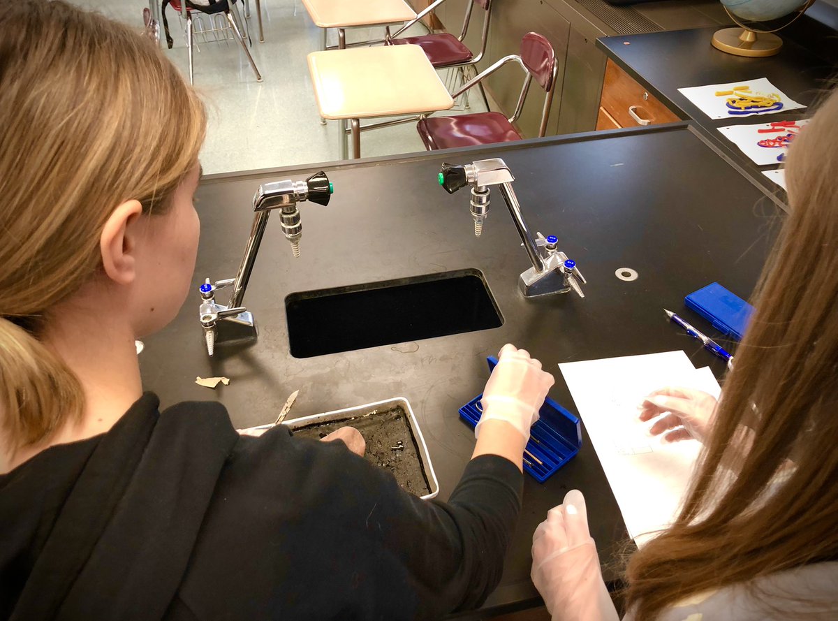 edwardsclass108's tweet photo. Block 4 Human Body Systems students dissected kidneys and diagnosed patients via a urinalysis data collection. Good work! #pltw #hbs #anatomy #labday #biology #education #science #kidney https://t.co/L5R5wbkkl9