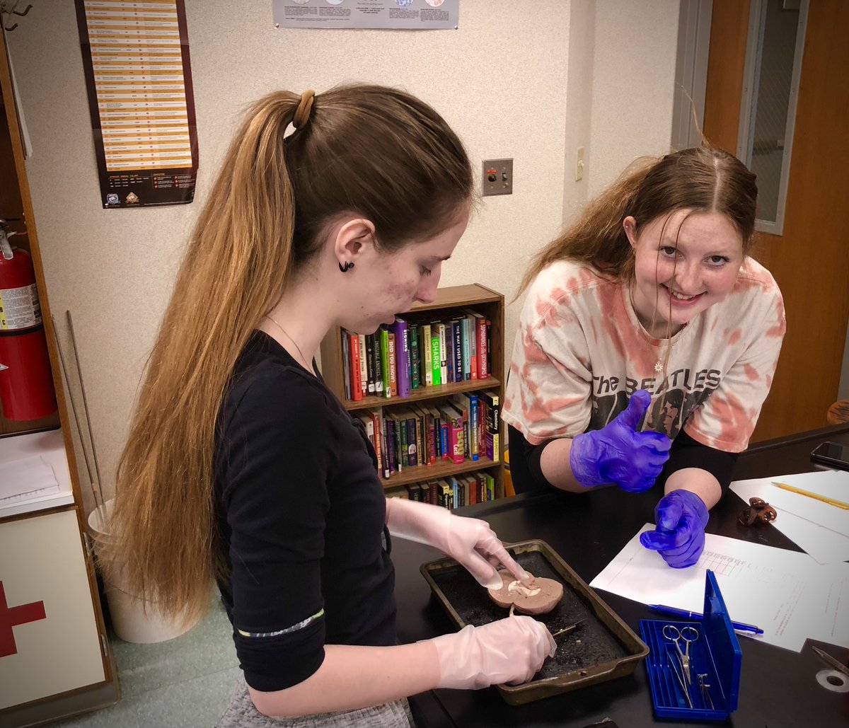 Block 4 Human Body Systems students dissected kidneys and diagnosed patients via a urinalysis data collection. Good work! #pltw #hbs #anatomy #labday #biology #education #science #kidney