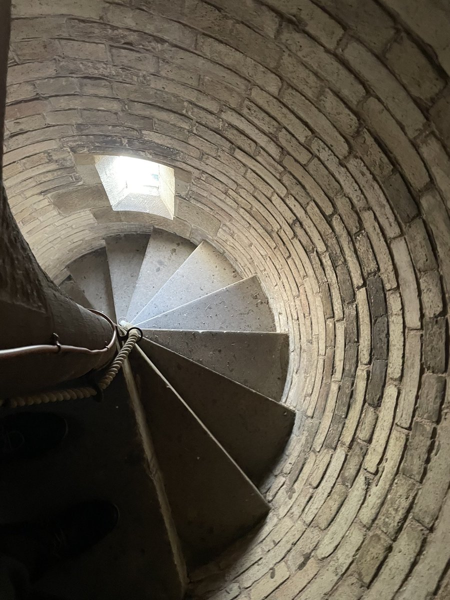 Singleton&Smart tweet media