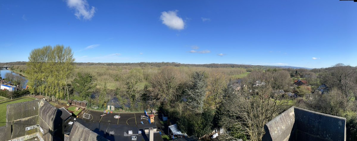 Singleton&Smart tweet media