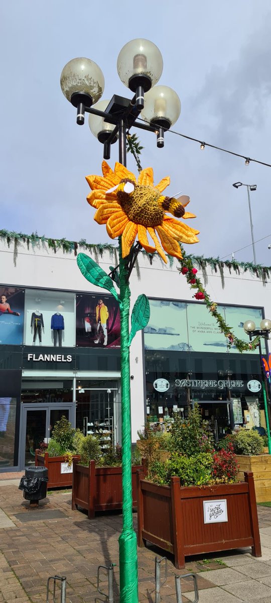 The Stamford Quarter tweet media