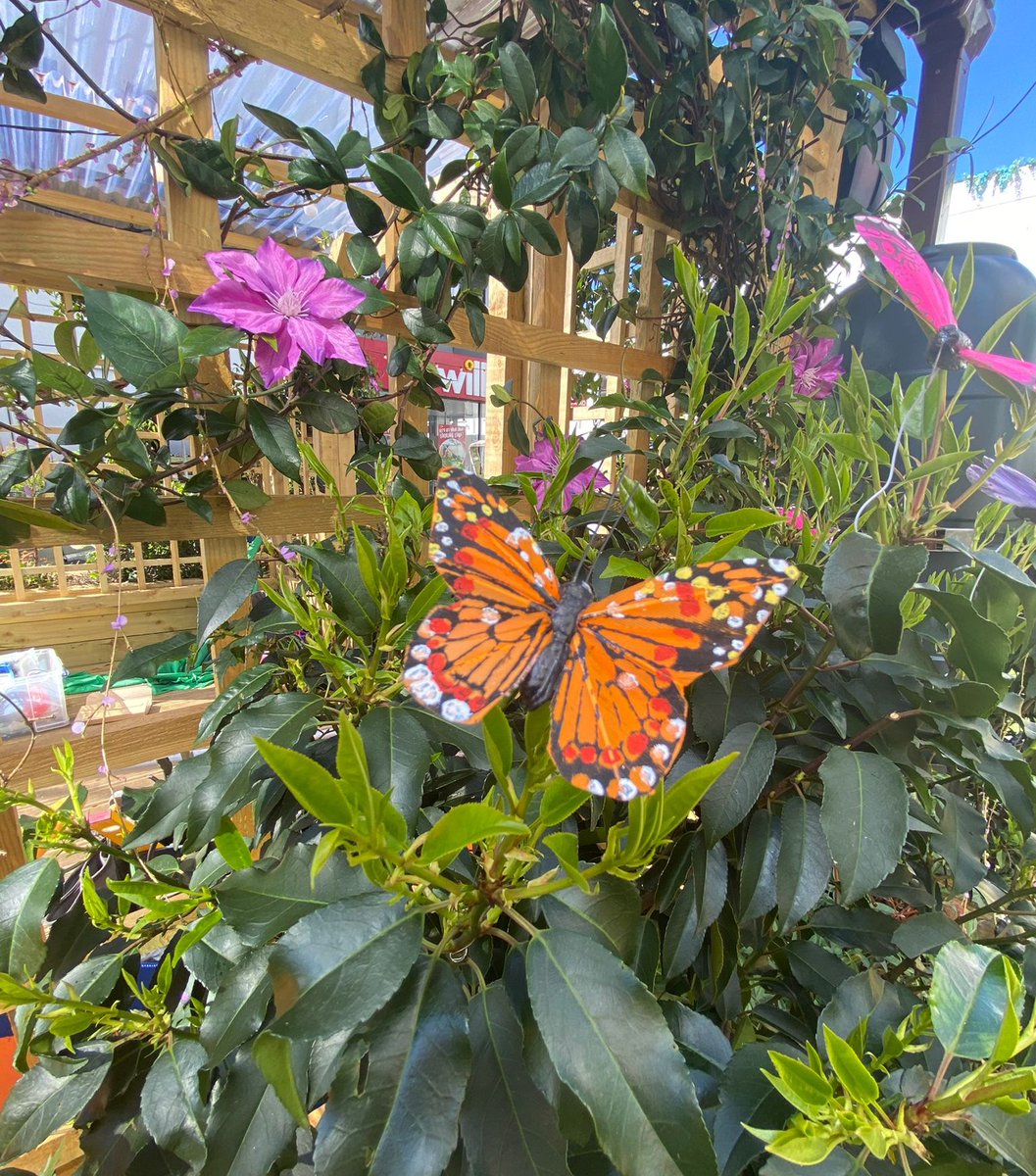 The Stamford Quarter tweet media