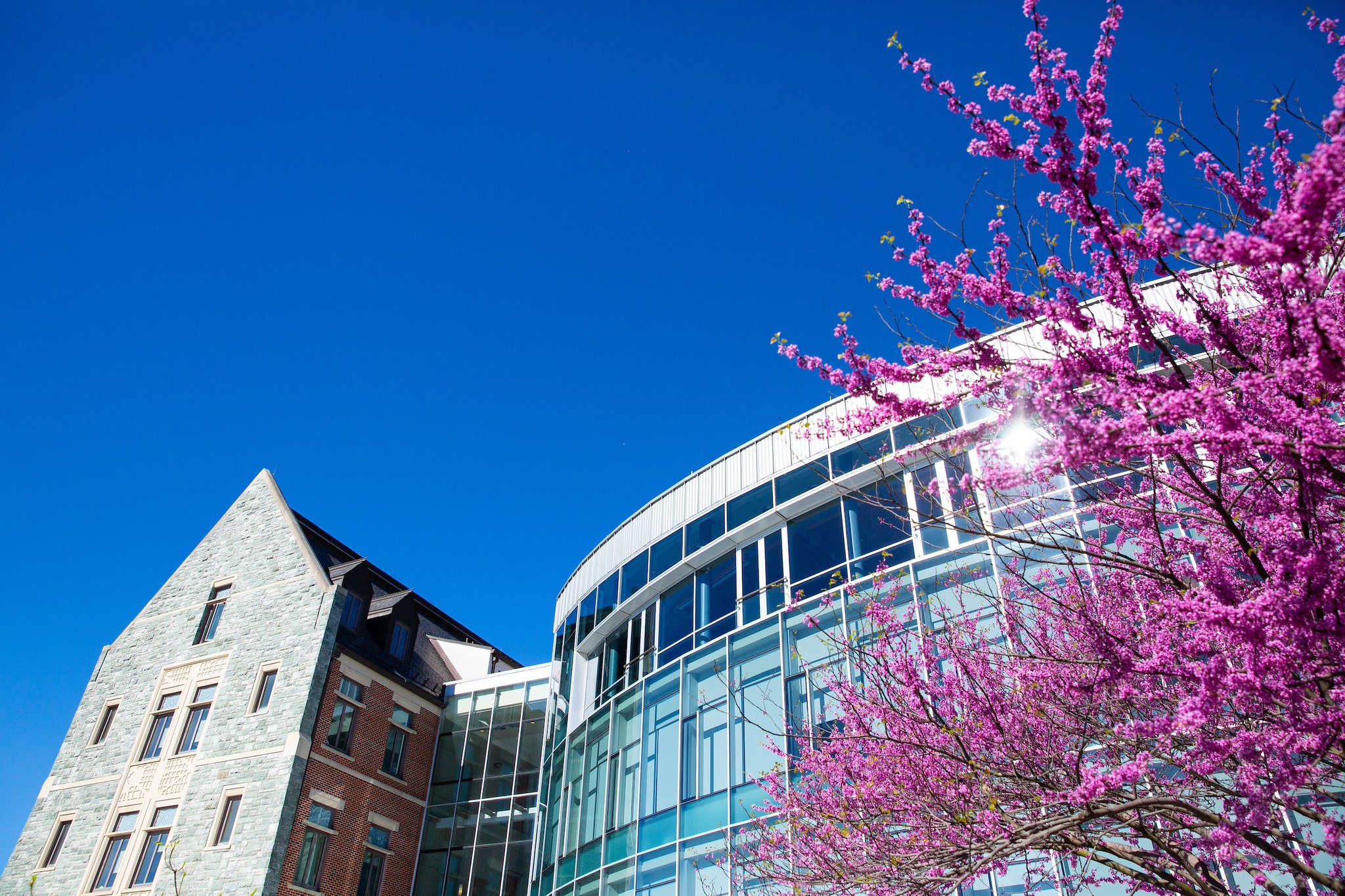 University on Twitter "Spring blooms on the Hilltop 🌺 https