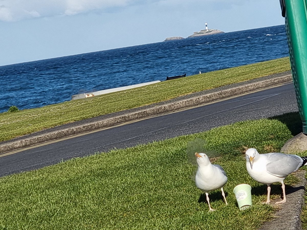 Fearghaloc's tweet photo. Grand day for coffee and a chat in Skerries https://t.co/n6w3wrQlAr