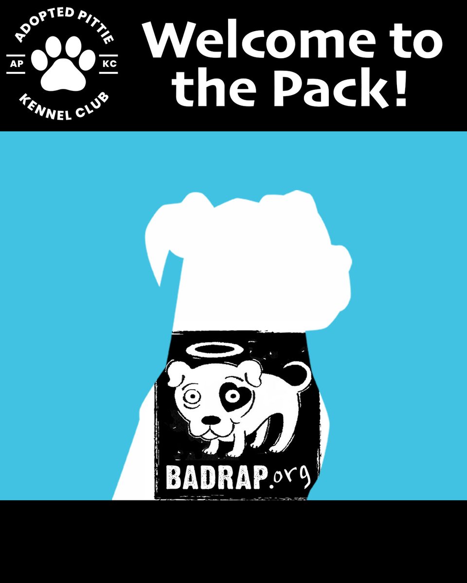 AdoptedPittieKC's tweet photo. #APKC is excited to have @BADRAPorg in our pack! We're raising $1,000,000 for them and 9 other rescues. Thank you for all you do for our favorite block headed breed! Learn more by visiting https://t.co/47GZeOsBm7
#Pitbull #bullybreed #pitbulladvocate #NFTCommunity #NFTProject https://t.co/Bj4DJnDVc6