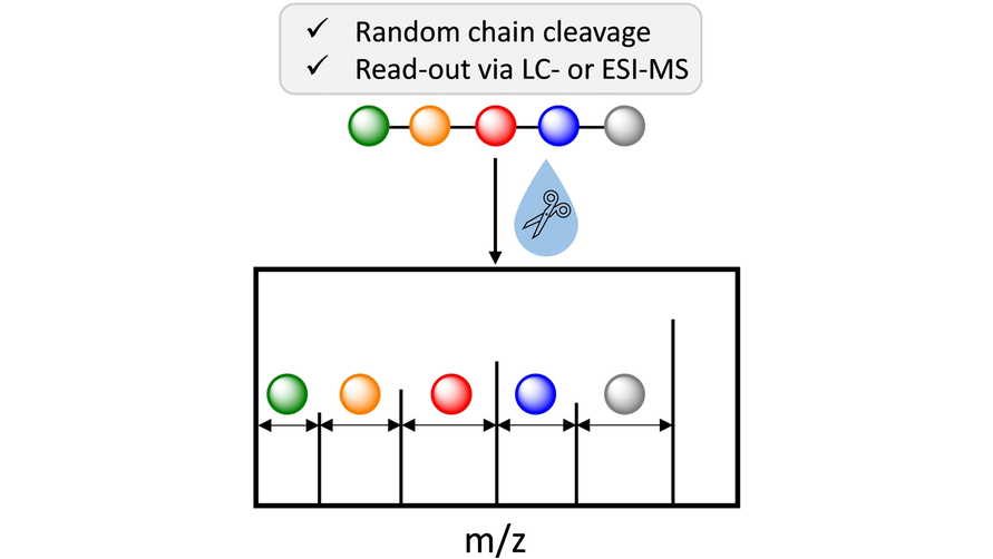 angew_chem's tweet photo. A straightforward strategy for sequencing uniform oligoesters using MS1 techniques, which relies on the introduction of random chain cleavages within the macromolecular backbone. @Filip_Du_Prez @SoeteMatthieu https://t.co/a4daU1YCeS https://t.co/0wm4809EfD