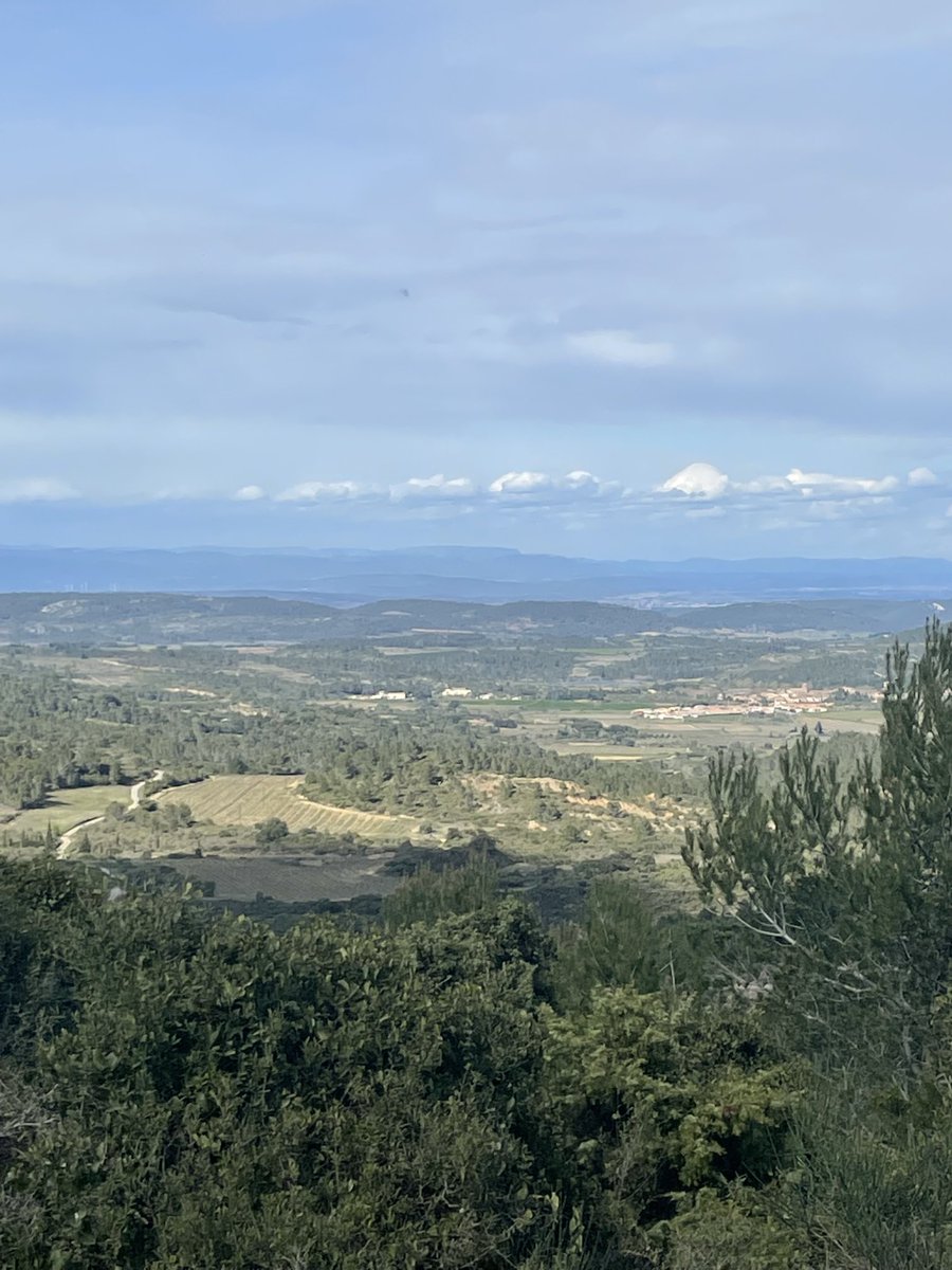A_Chasle's tweet image. En balade à vélo jusqu’à Villerouge Termenes, là où fut brûlé le dernier « parfait » cathare Belibaste, j’ai vu un poteau support pour indiquer le chemin aux amis du vin, très nombreux dans ce si beau terroir de l’#Aude ⁦@ForetNoel⁩ ⁦@Flochjf⁩ 🙂