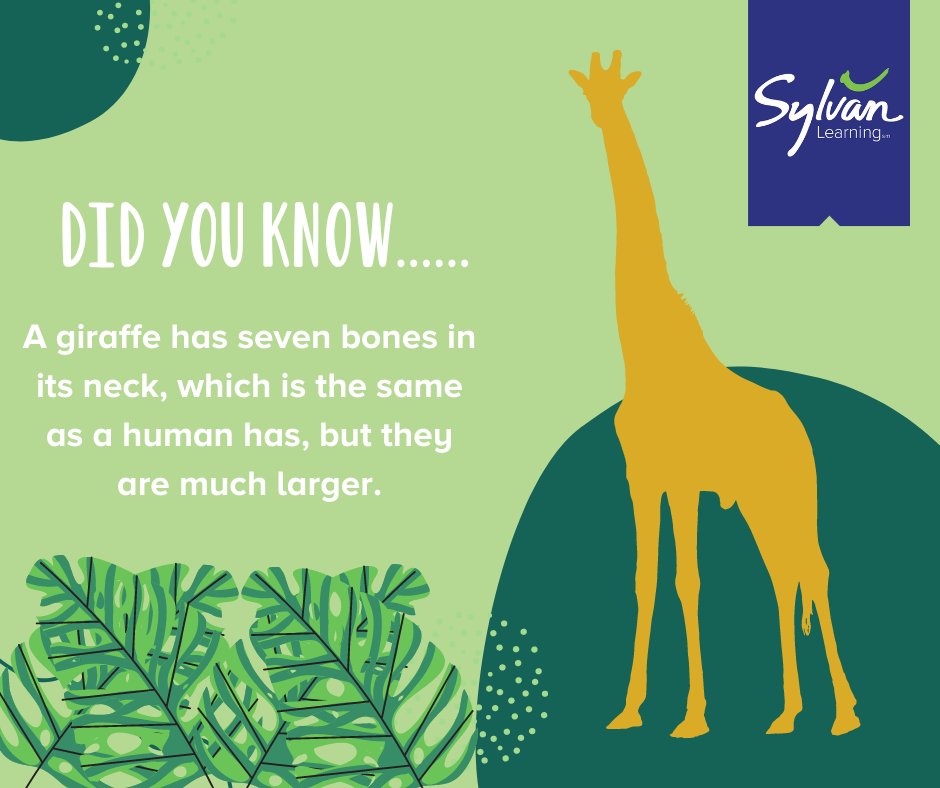 Happy #FundFactFriday! #SylvanLearning