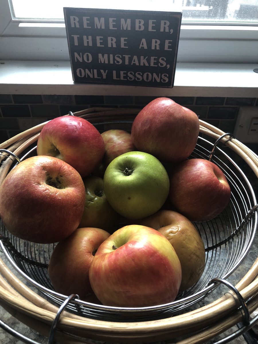 Brinogreenthumb's tweet photo. What shall I do with this???? #busyparent https://t.co/FfPGUPbzsv