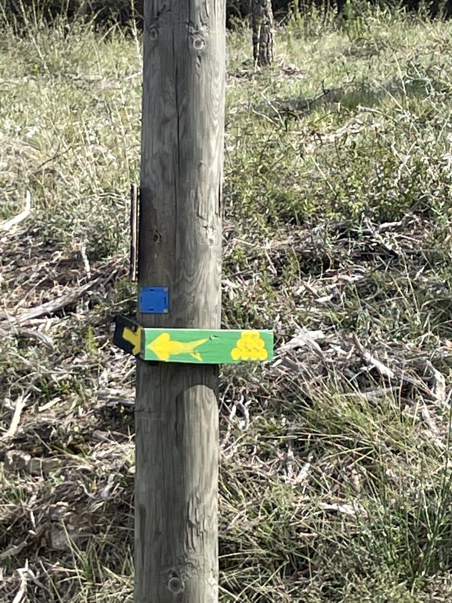 A_Chasle's tweet image. En balade à vélo jusqu’à Villerouge Termenes, là où fut brûlé le dernier « parfait » cathare Belibaste, j’ai vu un poteau support pour indiquer le chemin aux amis du vin, très nombreux dans ce si beau terroir de l’#Aude ⁦@ForetNoel⁩ ⁦@Flochjf⁩ 🙂