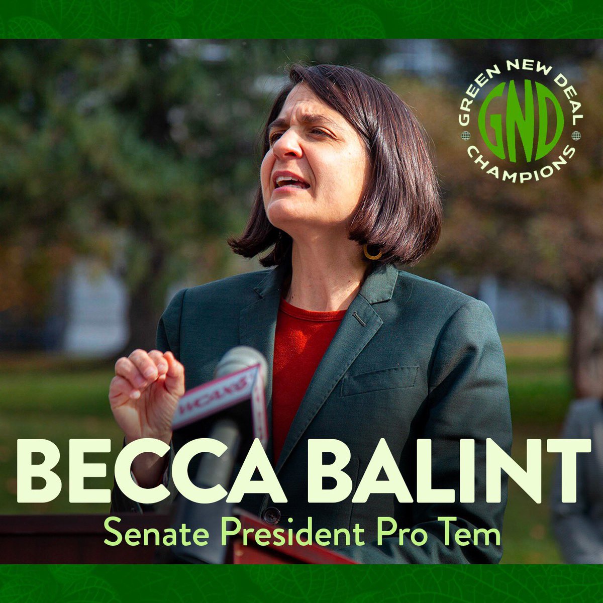 Photo of Becca at a podium, logo for Green New Deal Champions, text reads “Becca Balint, Senate President Pro Tem”