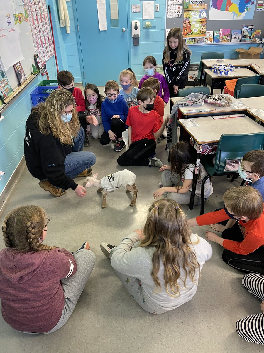 GBElementary's tweet photo. 3B was super exited for their visit from @NSAgriculture farmer Shannon Peters and her baby lamb! What a wonderful learning experience for students! @CBVRCE_NS #GCFT22contest https://t.co/dKFt5l1x24