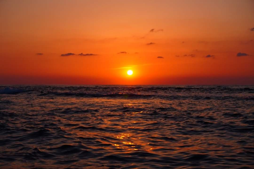quickone696Ver2's tweet photo. 2022年4月5日撮影。
#奄美大島 #夕陽 #夕焼け #龍郷町 #海 #波飛沫 #sunset #Dusk #sonyalpha #α6400 #april5th #wavesplash #SPLASH https://t.co/mP1Bja2SW9