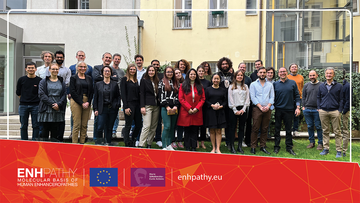 enhpathy_H2020's tweet photo. We had a great half-time retreat in Prague! We thank all PIs, guest speakers, partner organizations and students for their contribution. See you all in Santander for our next event.
#enhancers #enhanceropathies
@MSCActions https://t.co/FdsORwLRhq