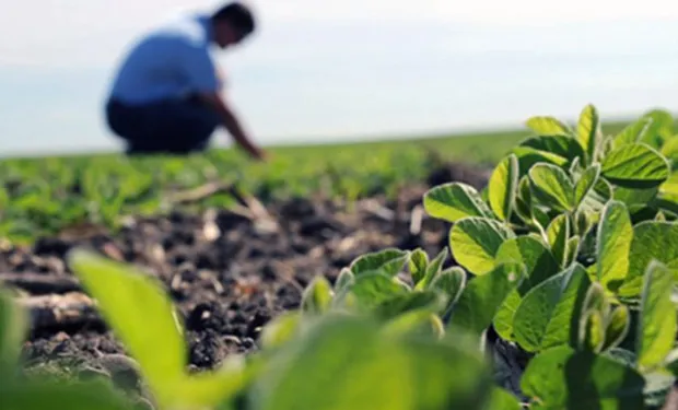 VE_Empresarial's tweet photo. Presidente de #SVIAA: El sector #agrícola requiere US$700 millones para garantizar el incremento de la producción en el país - Agencia de #Noticias #Venezuela Empresarial https://t.co/nzrZJPzsc5  @Sviaaorg https://t.co/Dbm83nMJ8g