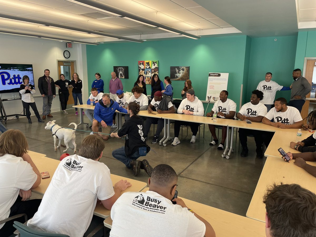HARPSavesLives's tweet image. We had a blast hosting the #Pitt D-Line here at the #EastSide. Proud to be just one component of @Pitt_FB’s Day of Service. #harpsaveslives #H2P