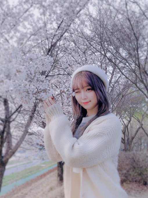 コスプレイヤーHattie（へティー）のTwitter画像9