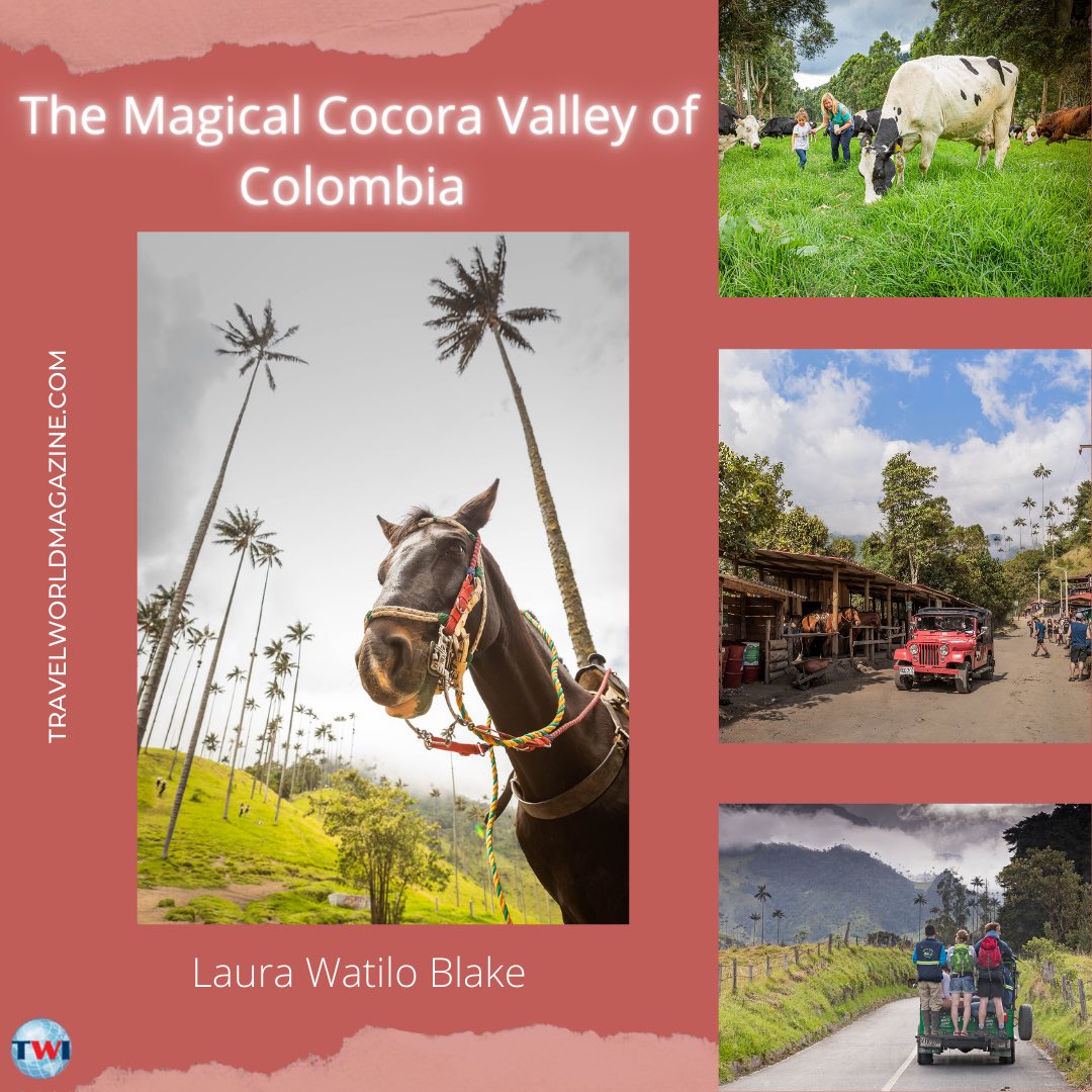 TravelWorldMag's tweet photo. The Magical Cocora Valley of Colombia offers an enchanting real-life setting of Disney’s animated film, Encanto. Find out more about the famous trees in Nevados National Natural Park, the coffee farms and the colonial architecture in Colombia by reading Laura’s full story in TWI https://t.co/rpeel26Cno