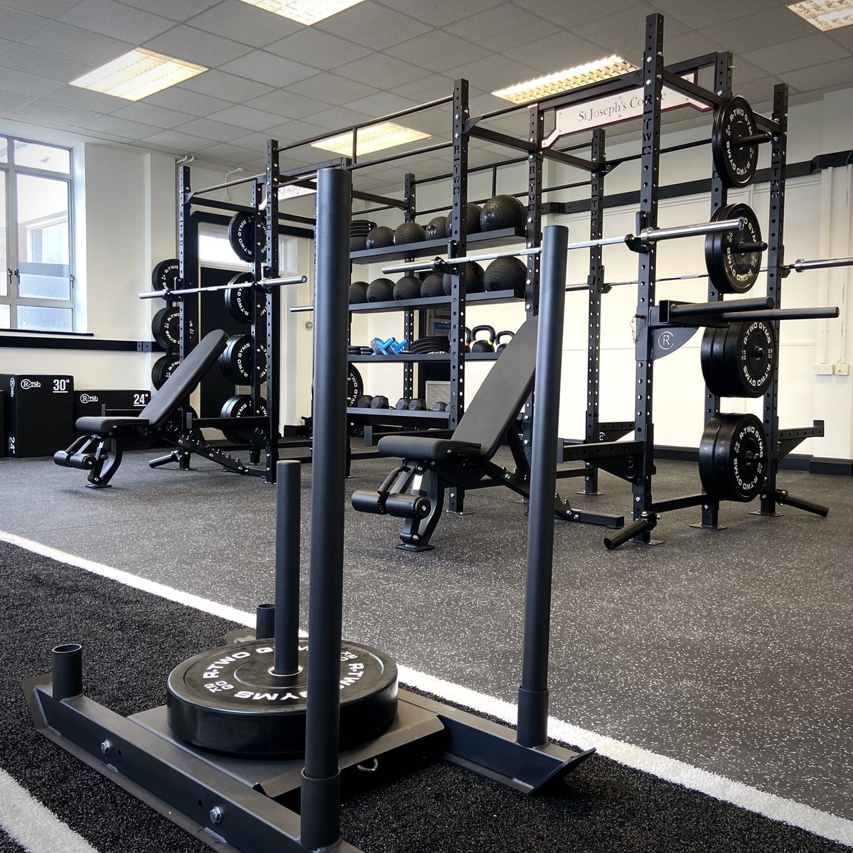 Daniel Kelly tweet media