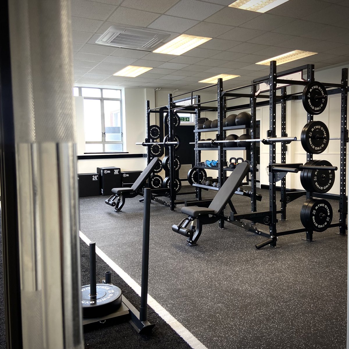 Daniel Kelly tweet media