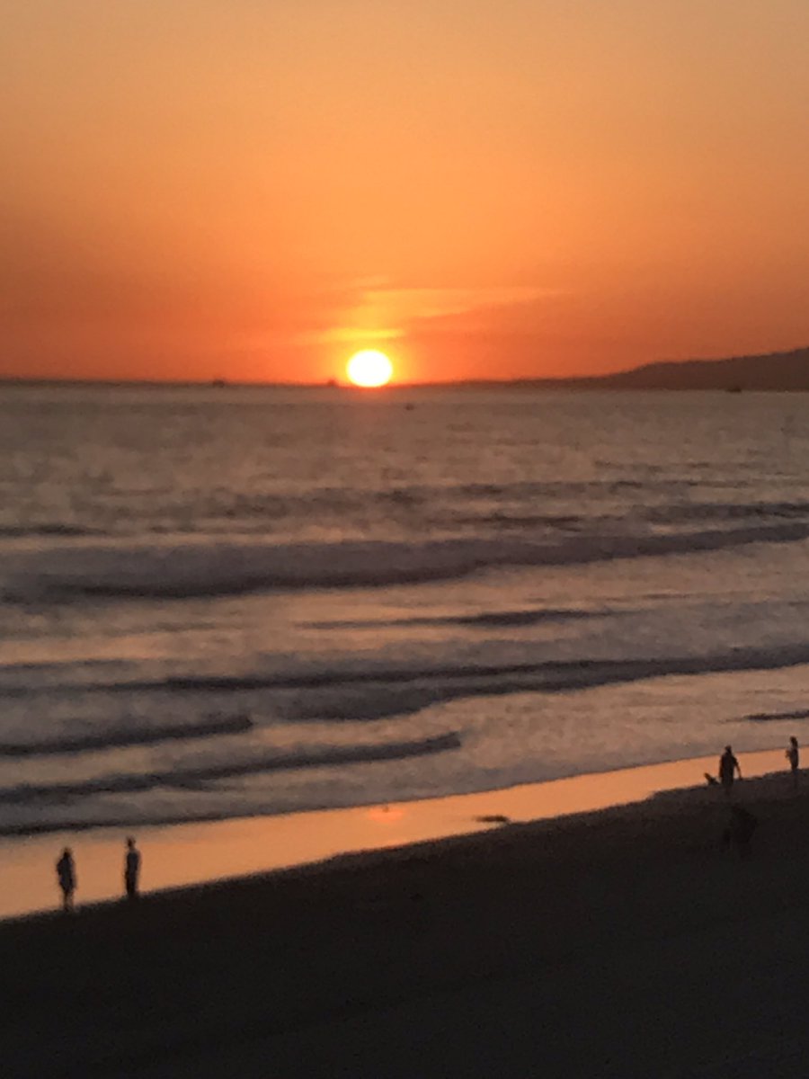 Suz Carragher tweet media