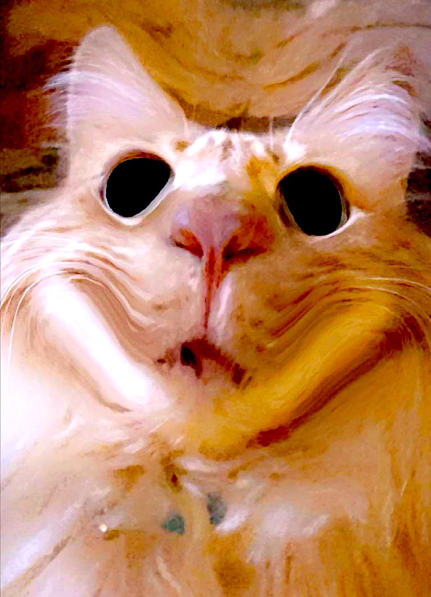 persesussimon's tweet image. cat face warps 😹😼😽😺😻

rarible.com/catties-1/items

lion king 🦁