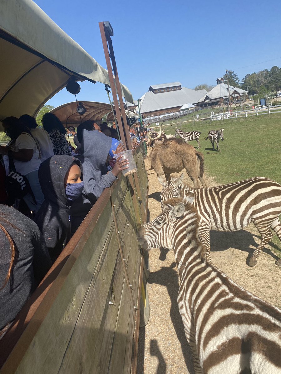 mallyrally's tweet photo. Field trip season is upon us https://t.co/KcQ3ra01E1