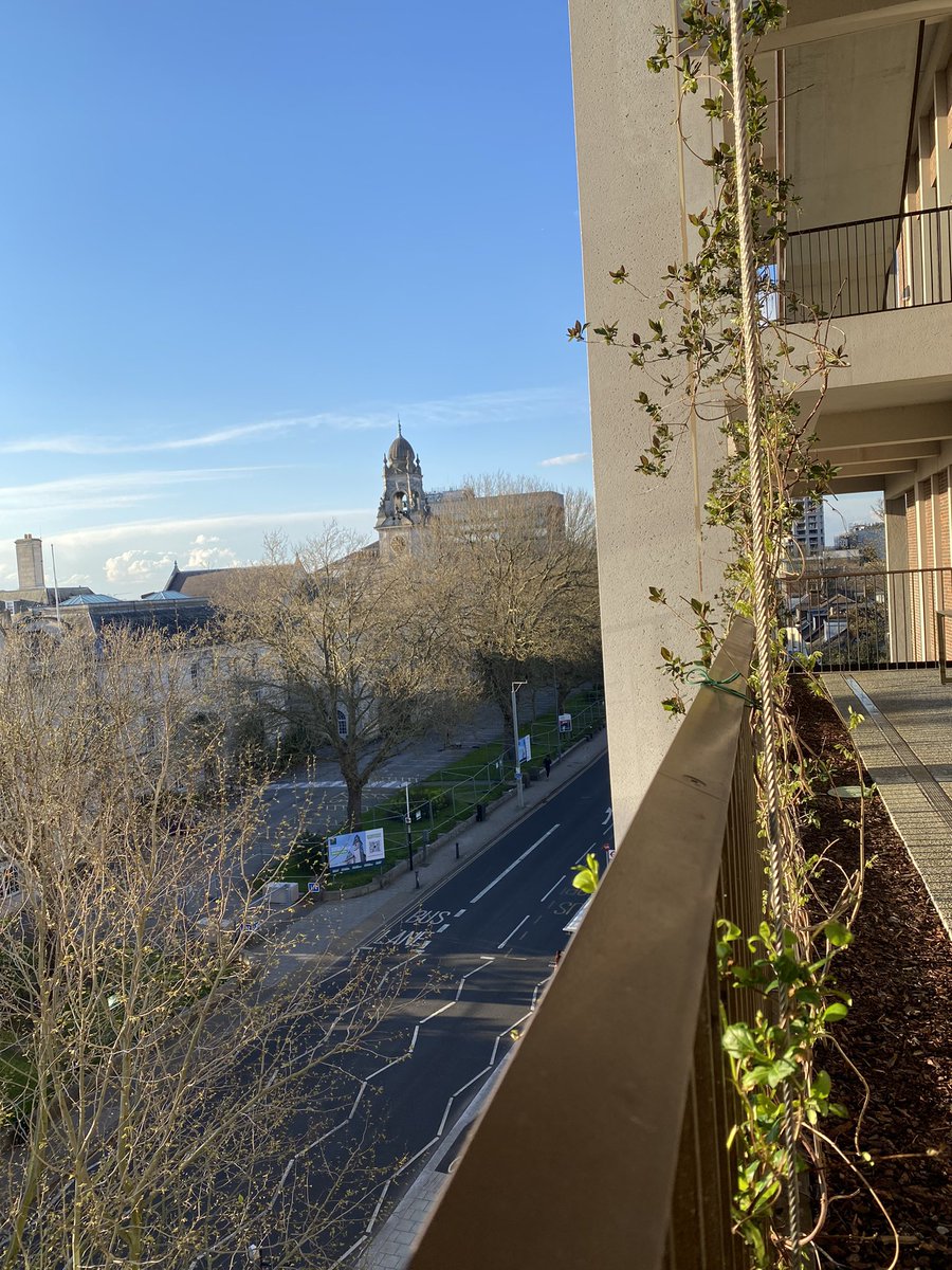 Chaelan4's tweet photo. Beautiful town house❤️ @KingstonUni 🌱🌿🌼🌻🌺🌸 https://t.co/KT7QXeuwKw