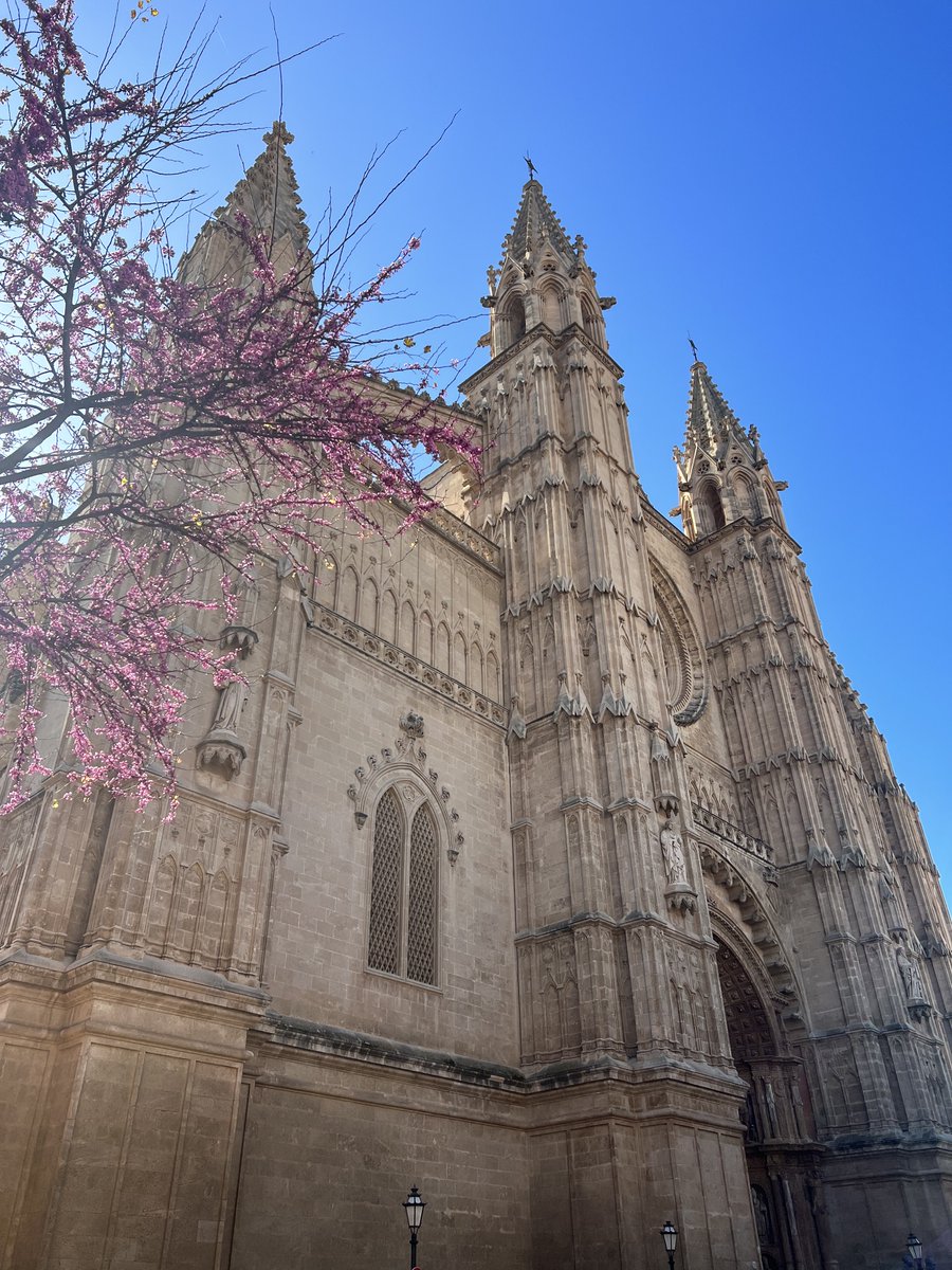 palma de mallorca, spain 💞 https://t.co/2nkIeZSmNf