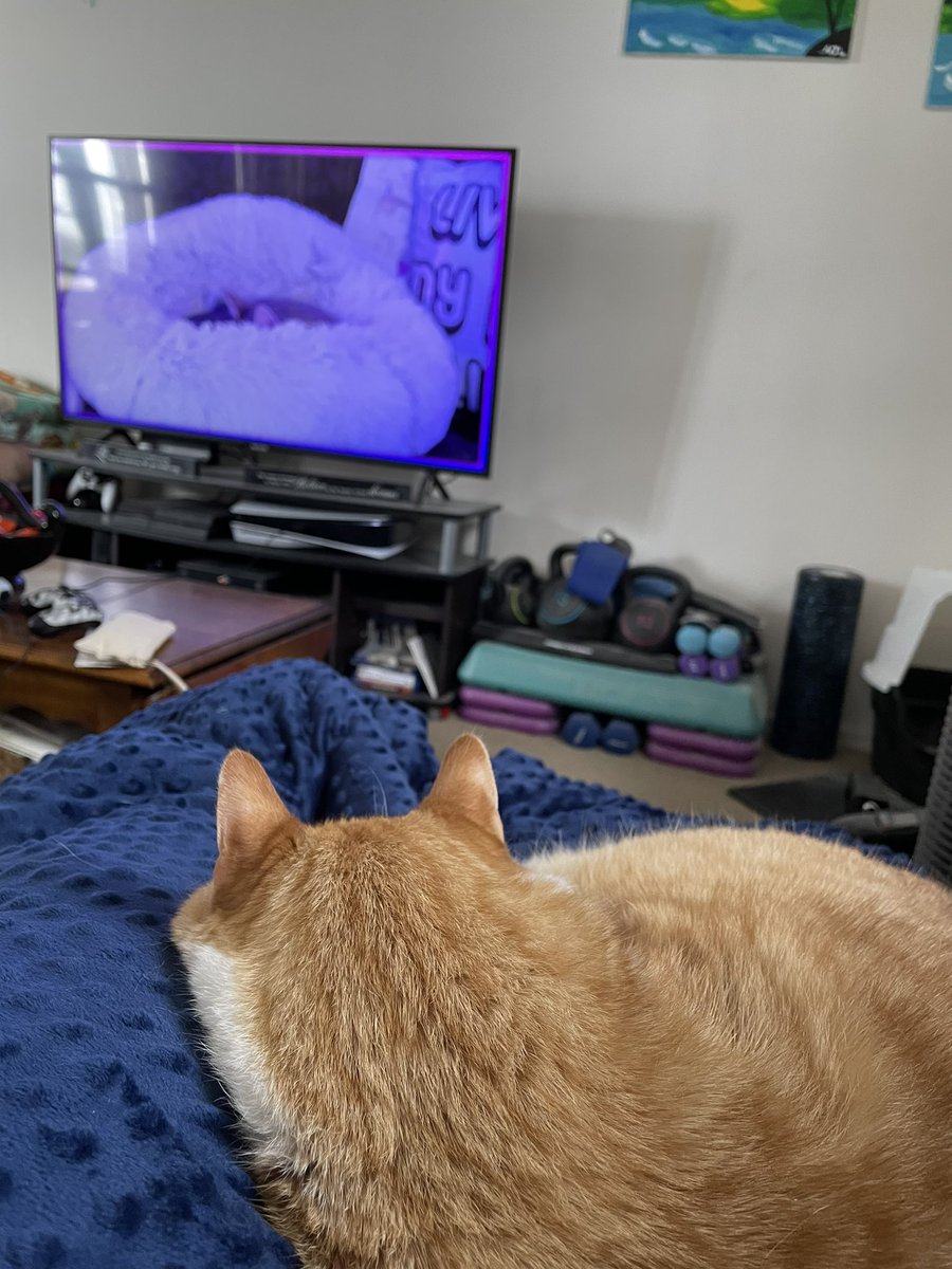 emlovely72's tweet photo. Max snoozin with Menchie @nailogical #menchiegang #simplystreams https://t.co/628jMjYC02