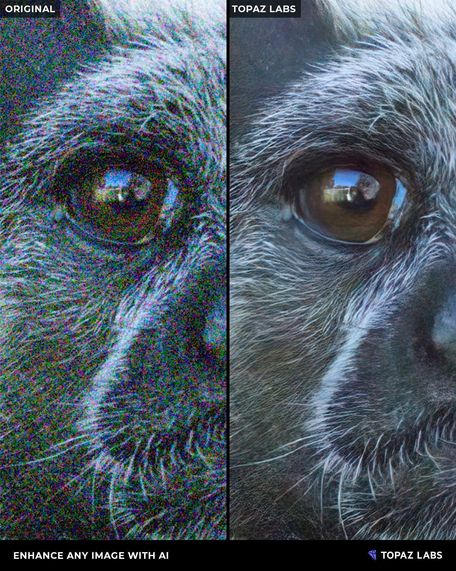 Topaz Labs on Twitter: "Use the power of AI to get better image quality