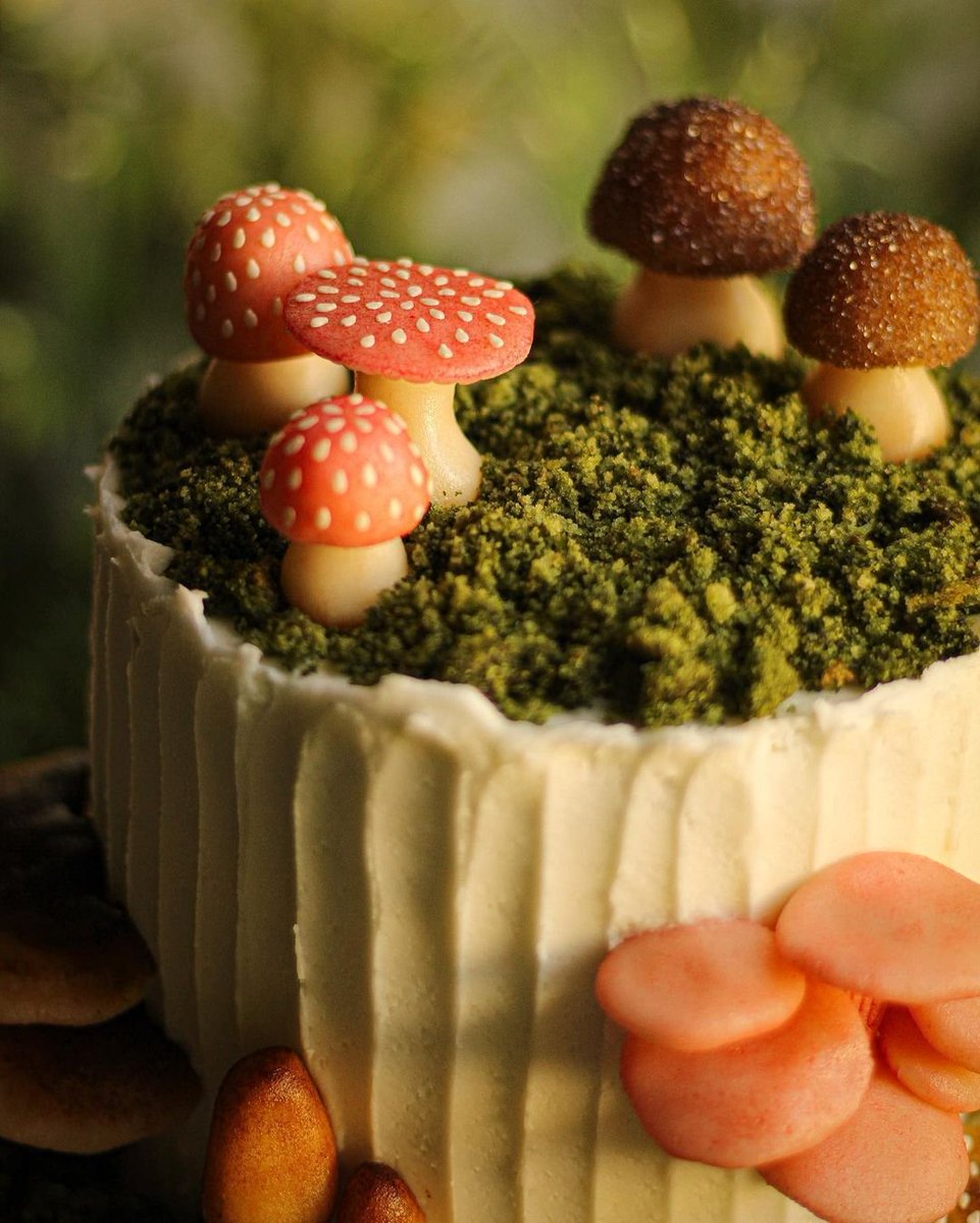 daily_dolce's tweet photo. Mushroom cake by mustloveherbs https://t.co/mnIjcuRSVr