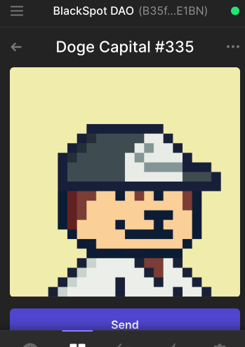 Our raffle for $BKSP for this <a href="/thedogecapital/">Doge Capital</a> nft just started and will end tommorrow, come check in our discord 🚨