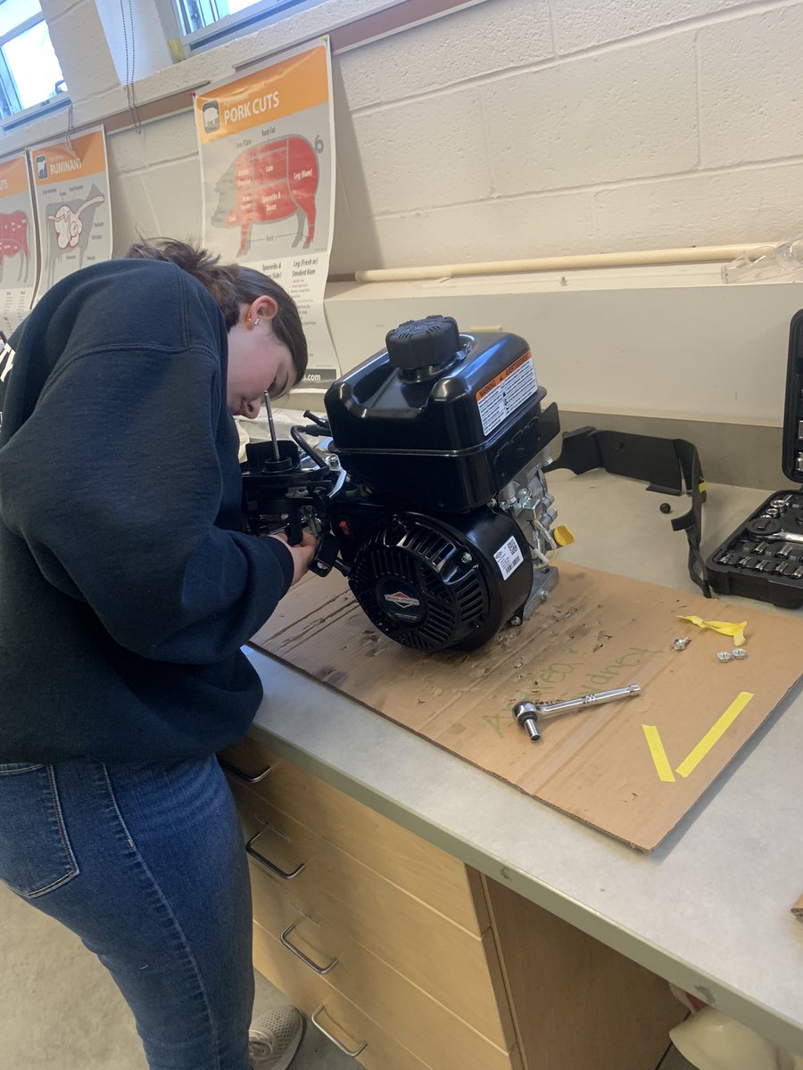 Lacey Walker tweet media