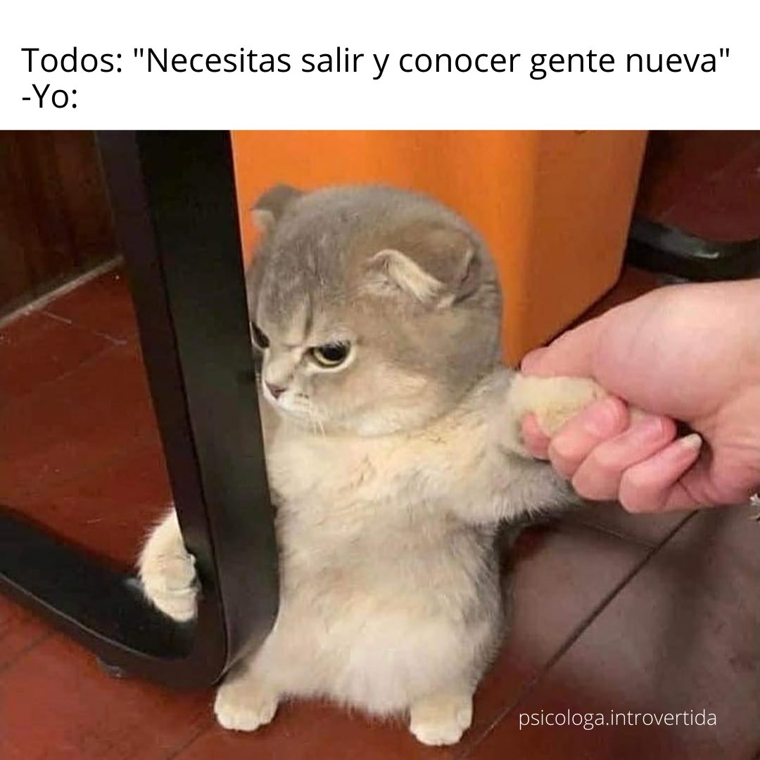 psiintrovertida's tweet image. Cuando todos te presionan para socializar y yo #soyintrovertida