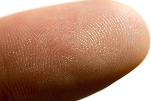 Conor O'Driscoll (@odrscll) on Twitter photo 