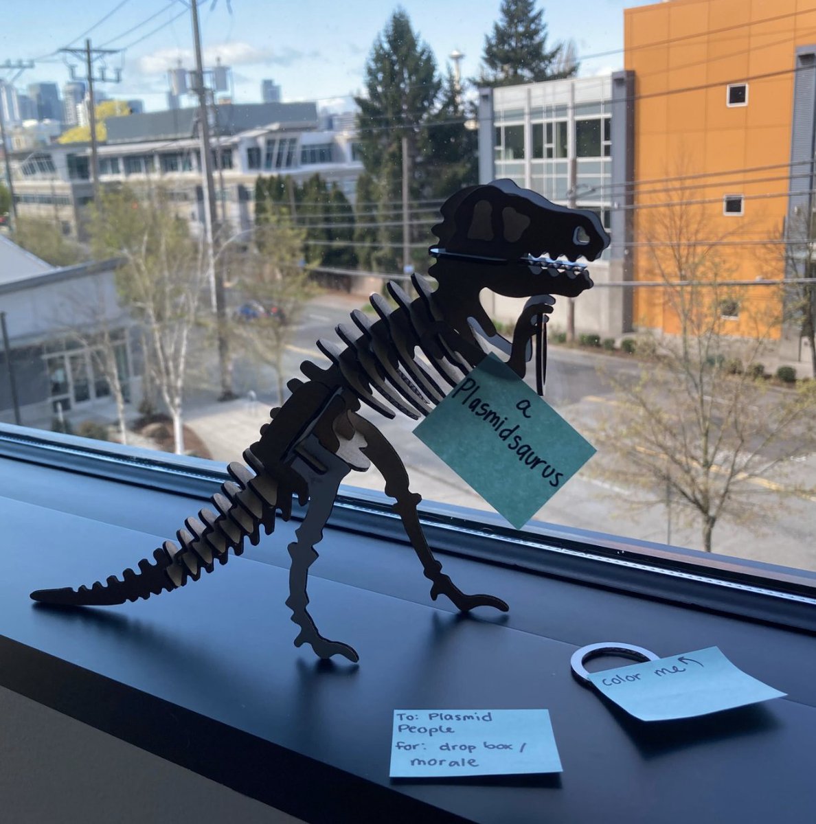 the newest <a href="/plasmidsaurus/">plasmidsaurus</a> artwork produced by <a href="/CajalNeuro/">CajalNeuro</a>'s incredible Morgan Whelchel!! Crafted from an old centrifuge shipping box ✨🧩✨
