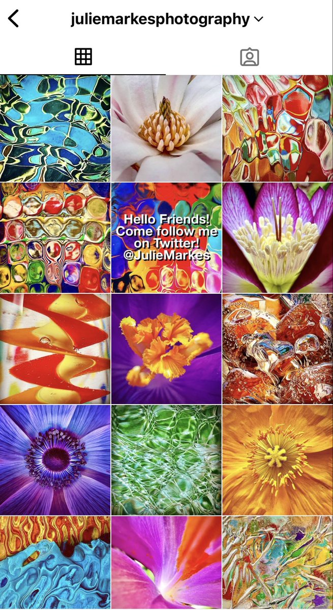 Julie Markes Photography tweet media