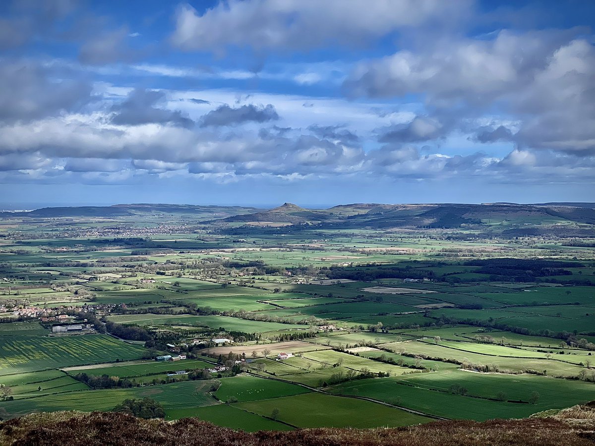 David Knowles Photography tweet media