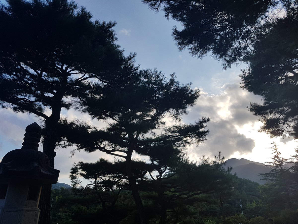 Chickadee_app's tweet photo. Jikji Cultural Park is a nice place for a family outing with 50 sculptures, a botanical garden 29th ~80k flowers, a ~4k hiking trail, a 330m aqueduct and circular musical waterfalls that deliver a water show twice a day. https://t.co/aneOmr209H