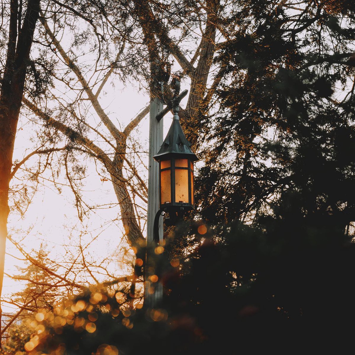 michiganstateu's tweet image. Peaceful vibes. 🙌