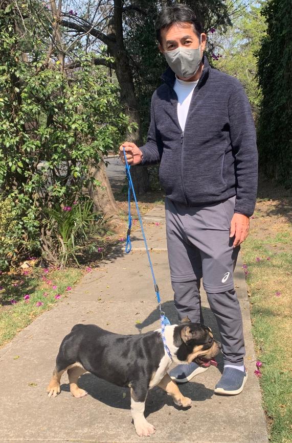 embjpmx's tweet photo. Hoy es día de #HACHIKO el perro más famoso de Japón. Y para recordar su lealtad, hoy celebro este día presentándoles a mis perros #AmericanBully una nueva raza. Aunque parecen muy agresivos, son dóciles, juguetones, muy inteligentes y leales, pero supongo no tanto como #Hachi? https://t.co/VHoIIQdCmW