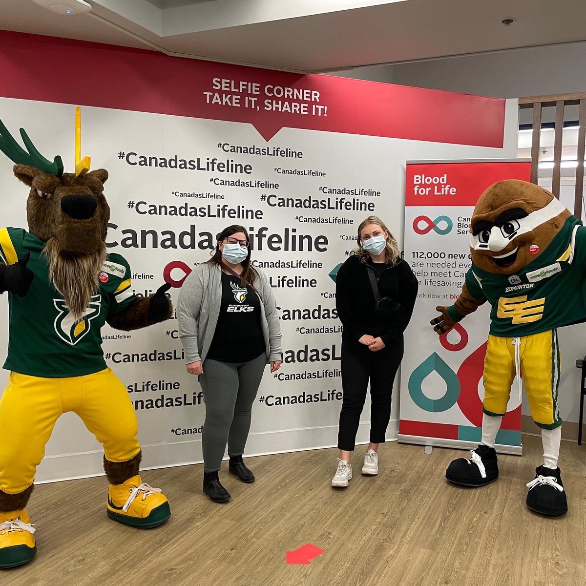 GoElks's tweet photo. An Elks office staff day out to donate blood! Thank you to @CanadasLifeline for helping us coordinate this effort. Can’t wait to be back donating later this year! #GoElks https://t.co/NNvo6HKtR5