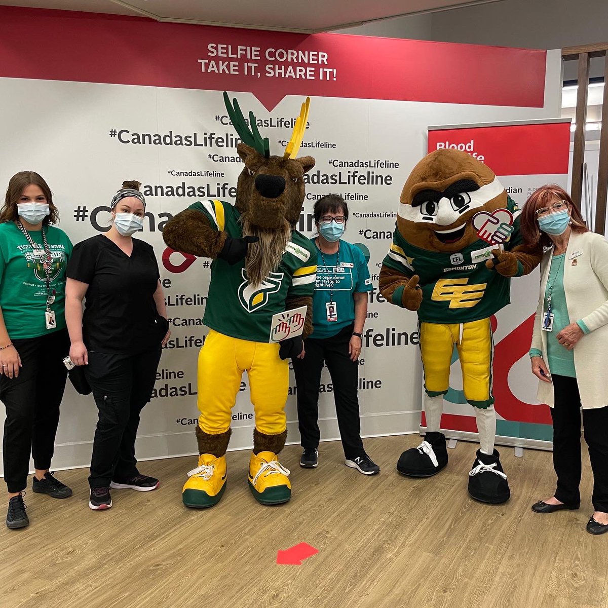 GoElks's tweet photo. An Elks office staff day out to donate blood! Thank you to @CanadasLifeline for helping us coordinate this effort. Can’t wait to be back donating later this year! #GoElks https://t.co/NNvo6HKtR5