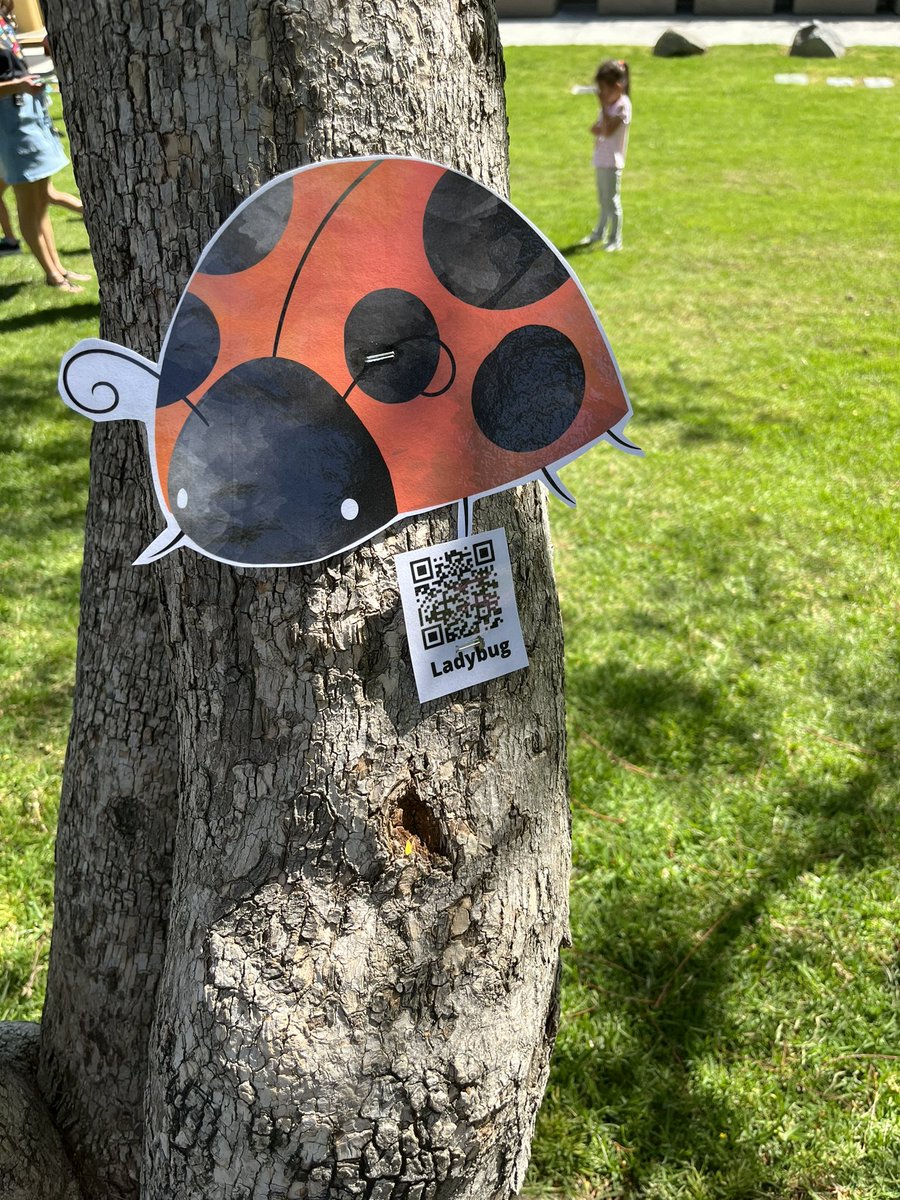 Alison Jimenez tweet media